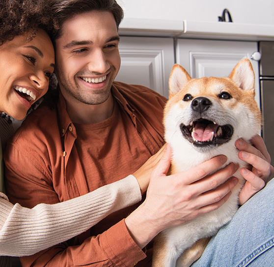 Mann und Frau kuscheln mit Hund